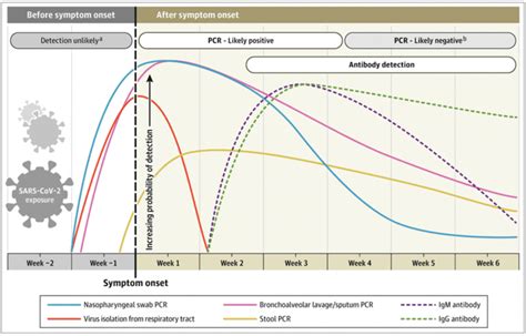 Interpreting SARS.